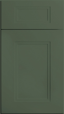 Fashion Evergreen Door