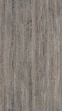 Lakeland Oak Textured Door